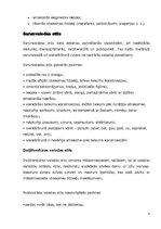 Referāts 'Valodas stili', 6.