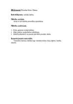 Referāts 'Rokdarbu konspekts sākumskolai', 4.