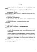 Referāts 'Ģeometrisko formu daudzveidība dažādās pasaules svētvietās', 3.