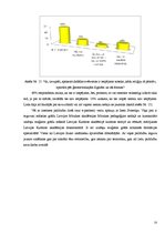 Referāts 'Ģeometrisko formu daudzveidība dažādās pasaules svētvietās', 23.