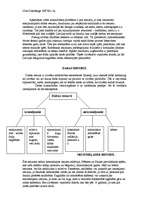 Referāts 'Klimata izmaiņas cilvēka ietekmē', 2.