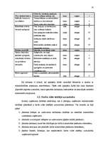 Prakses atskaite 'Darba aizsardzība SIA "XXX"', 19.