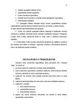 Prakses atskaite 'Darba aizsardzība SIA "XXX"', 28.