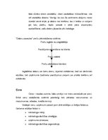 Referāts 'SIA "Mediju Centrs "Kurzeme""', 15.
