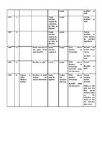 Paraugs 'Genogramma un personas biogrāfiskais apraksts', 4.