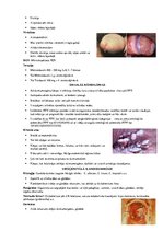 Konspekts 'Seksuāli transmisīvās slimības', 5.