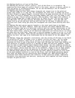 Eseja 'The conflicts of "Lord of The Flies" by William Golding', 1.