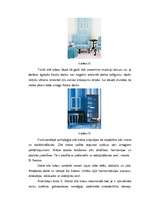 Referāts 'Krāsu psihofizioloģiskā nozīme', 19.