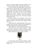 Referāts 'Krāsu psihofizioloģiskā nozīme', 23.