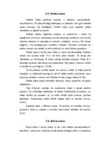 Referāts 'Krāsu psihofizioloģiskā nozīme', 24.