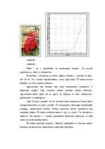 Referāts 'Krāsu psihofizioloģiskā nozīme', 30.