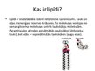 Prezentācija 'Lipīdi', 2.