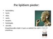Prezentācija 'Lipīdi', 4.