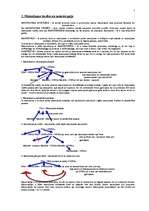 Konspekts 'Mantojuma tiesības', 2.