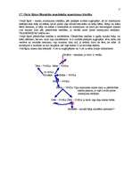 Konspekts 'Mantojuma tiesības', 17.