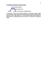 Konspekts 'Mantojuma tiesības', 19.