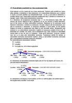 Konspekts 'Mantojuma tiesības', 25.