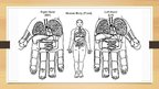 Prezentācija 'Su-džok masāža', 5.
