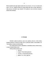 Prakses atskaite 'Kvalifikācijas prakse komercdarbības organizācijā', 19.