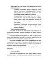 Referāts 'Noguldījumi Latvijas komercbankās, to analīze', 19.