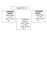 Referāts 'Noguldījumi Latvijas komercbankās, to analīze', 33.