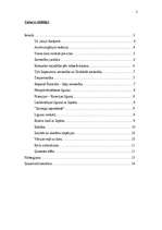 Referāts 'Pirmā pasaules kara cēloņi', 2.