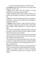 Referāts 'Pirmā pasaules kara cēloņi', 5.