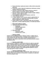 Konspekts 'Biznesa vērtēšana', 9.