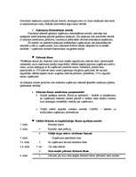 Konspekts 'Biznesa vērtēšana', 10.