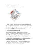 Referāts 'Transoloģiskā psihoterapija', 4.