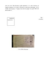 Prakses atskaite 'Prakses atskaite uzņēmumā "AirBalitc"', 16.