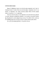 Prakses atskaite 'Prakses atskaite uzņēmumā "AirBalitc"', 17.