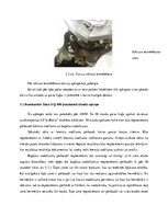 Prakses atskaite 'Prakses atskaite uzņēmumā "AirBalitc"', 31.