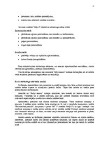 Referāts 'Mārketinga plāns SIA "BT1" izstādei "Māja I 2006"', 12.