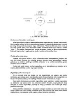 Referāts 'Mārketinga plāns SIA "BT1" izstādei "Māja I 2006"', 19.