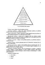 Referāts 'Mārketinga plāns SIA "BT1" izstādei "Māja I 2006"', 43.