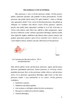 Referāts 'Bāzu plastmasas, to veidi un pielietojums izņemamo parciālo zobu protēžu ar plas', 5.