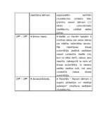 Konspekts 'Mācību nodarbība 1.klases skolēnu vecākiem "Bērna pašapziņas un pašcieņas veidoš', 4.