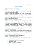 Konspekts 'Mācību nodarbība 1.klases skolēnu vecākiem "Bērna pašapziņas un pašcieņas veidoš', 7.