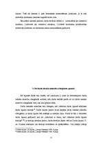 Referāts 'Darba tiesisko attiecību izbeigšana', 17.