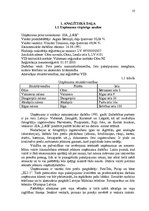 Diplomdarbs 'Uzņēmuma pilnveidošanas projekts pakalpojumu jomā', 3.