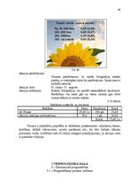 Diplomdarbs 'Uzņēmuma pilnveidošanas projekts pakalpojumu jomā', 42.