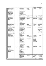 Diplomdarbs 'Uzņēmuma pilnveidošanas projekts pakalpojumu jomā', 68.