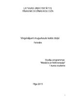 Referāts 'Vingrinājumi mugurkaula kakla daļai', 1.