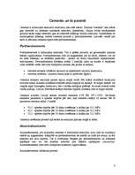 Referāts 'Cements un betons', 4.