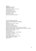 Paraugs 'Kursa projekts zāģmateriālu ražošanā', 97.