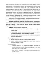 Eseja 'Māsu izglītības filosofija', 8.