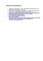 Referāts 'Valsts varas orgānu vēlēšanas Krievijā', 15.