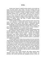 Referāts 'Antīkā māksla un neoklasicisma glezniecība', 24.