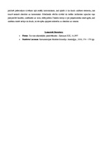 Eseja 'Kā cilvēks raksturots Paskāla "Domās"?', 2.